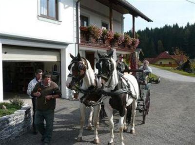 фото отеля Narnhoferwirt Hotel Sankt Jakob Im Walde