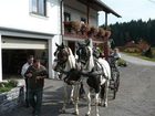 фото отеля Narnhoferwirt Hotel Sankt Jakob Im Walde