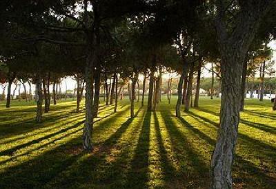 фото отеля Pine Cliffs Village Hotel Albufeira
