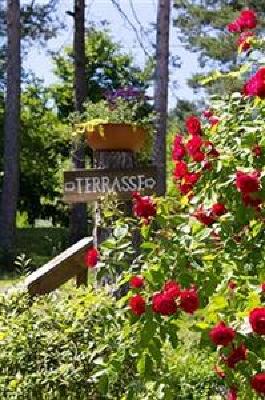 фото отеля Gasthof Pension Seelos