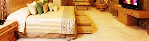 фото отеля Hotel Jammu Ashok