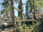 фото отеля Big Bear Lake Cabins