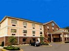 фото отеля Magnolia Inn & Suites Olive Branch