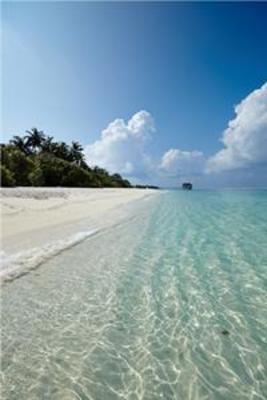 фото отеля Palm Beach Resort and Spa Maldives