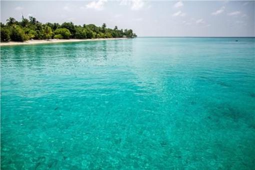 фото отеля Palm Beach Resort and Spa Maldives