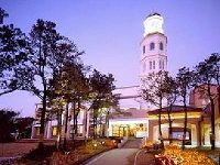 Mayfield Hotel Seoul