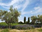 фото отеля Hotel Les Jardins De Sainte-Maxime