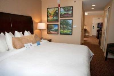 фото отеля Hilton Garden Inn Saint Louis Airport Berkeley (Missouri)
