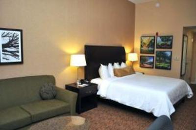 фото отеля Hilton Garden Inn Saint Louis Airport Berkeley (Missouri)