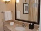 фото отеля Hilton Garden Inn Saint Louis Airport Berkeley (Missouri)