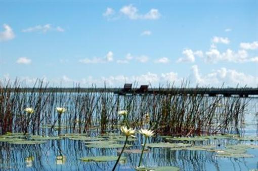 фото отеля Cabañas, Hostel y Camping