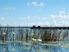 фото отеля Cabañas, Hostel y Camping