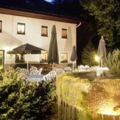 фото отеля Gruenes Tuerl Hotel