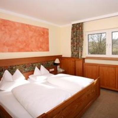 фото отеля Gruenes Tuerl Hotel