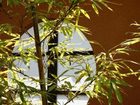 фото отеля Kaede no Shoja
