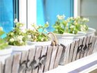 фото отеля Mini Hotel Volna