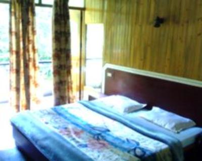 фото отеля Hotel Blue Diamond Shimla