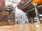фото отеля Great Wolf Lodge Grand Mound
