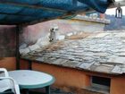 фото отеля Agriturismo Il Frantoio
