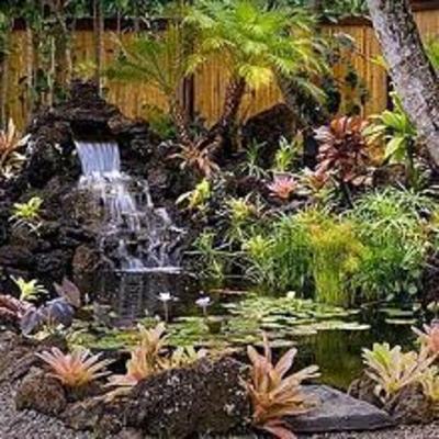 фото отеля Hanalei Colony Resort