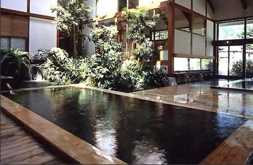 фото отеля Osawa Onsen Hotel