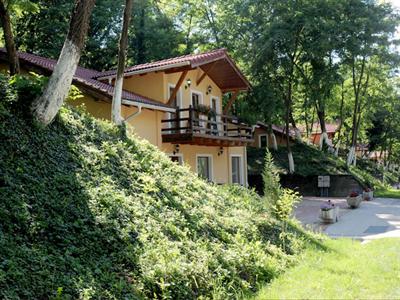 фото отеля Arsenal Park Transilvania