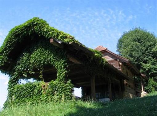 фото отеля Bauernhof Gaisrieglhof