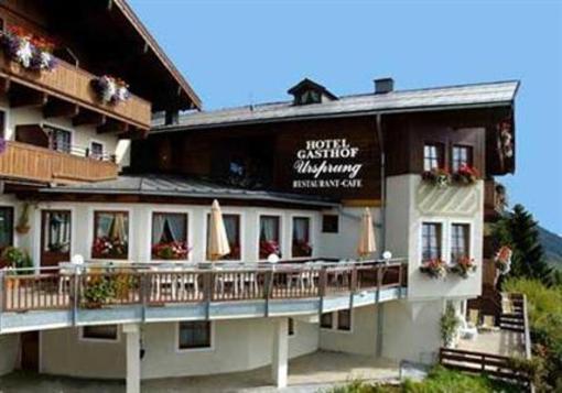 фото отеля Gasthof Hotel Ursprung