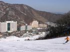 фото отеля Daemyung Resort Vivaldi Park