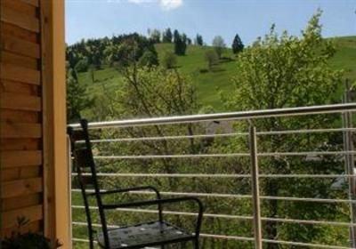 фото отеля Vitalhotel Grüner Baum Todtnau
