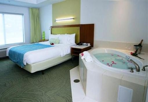 фото отеля SpringHill Suites Detroit Auburn Hills