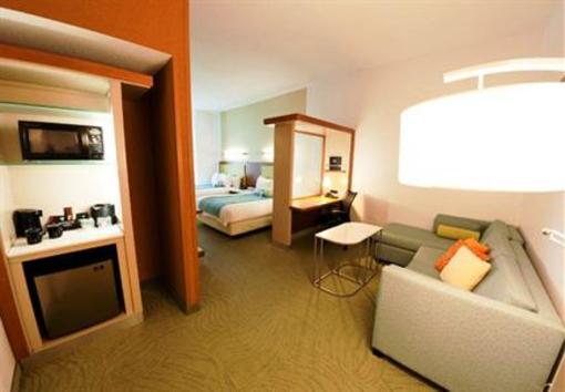 фото отеля SpringHill Suites Detroit Auburn Hills