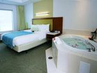 фото отеля SpringHill Suites Detroit Auburn Hills