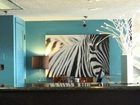 фото отеля Red Roof Inn Kissimmee