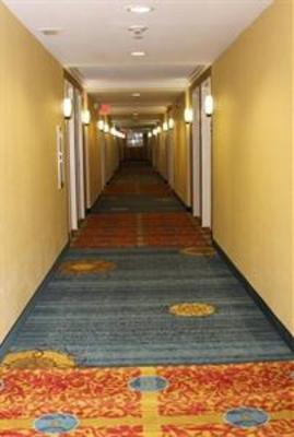 фото отеля Holiday Inn Express Hotel & Suites Ft Lauderdale - Plantation