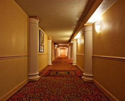 фото отеля Holiday Inn Schaumburg Rolling Meadows