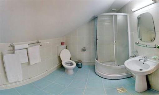 фото отеля Pensiunea Retezat