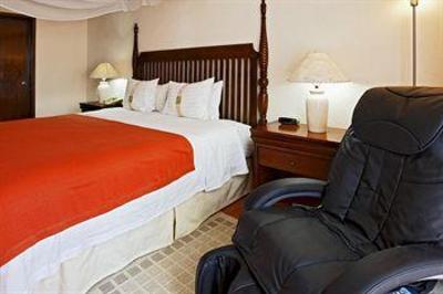 фото отеля Holiday Inn Merida