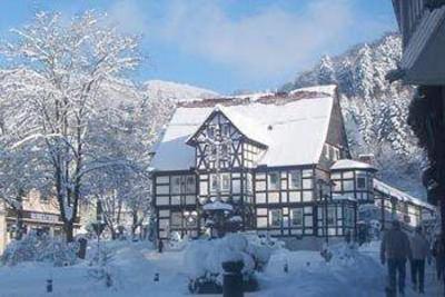 фото отеля Hotel-Pension am Kurmittelhaus