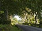 фото отеля Chateau La Cheneviere
