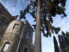 фото отеля Lion's Castle Hotel