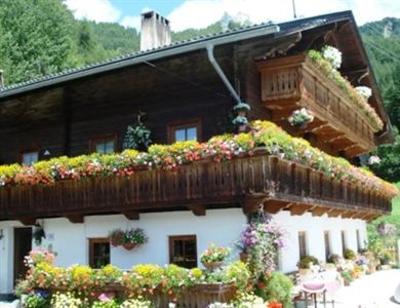 фото отеля Tolahof