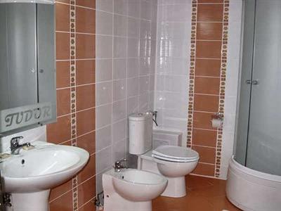 фото отеля Hotel Tudor Drobeta-Turnu Severin