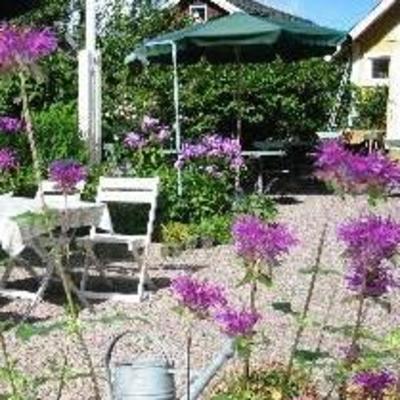 фото отеля Hotell Floras Tradgard