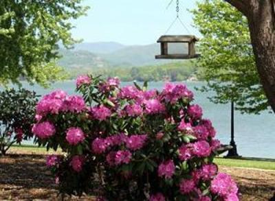 фото отеля The Ridges Resort & Club Hotel Hiawassee