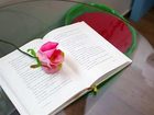 фото отеля Q Hotel Yongin