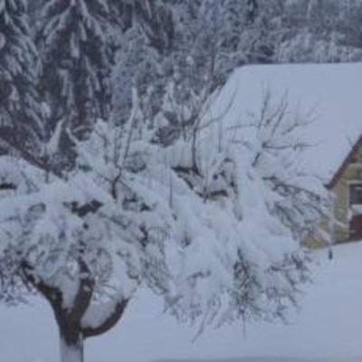фото отеля Biobauernhof Drei Finken