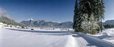 фото отеля Landgasthof Lilie