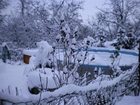 фото отеля Wolfsberghof