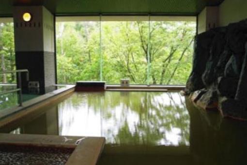 фото отеля Shirogane Onsen Hotel